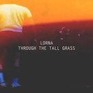 Through the Tall Grass